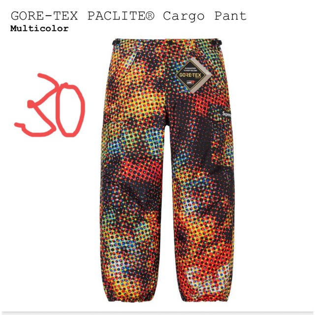 supreme goretex cargo pants