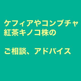 ケフィア、コンブチャ（紅茶キノコ株）のご相談やアドバイス(その他)