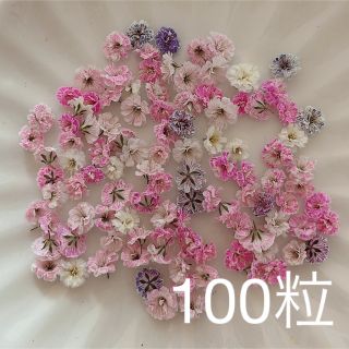 ピンク系 かすみ草ドライフラワー100粒(ドライフラワー)