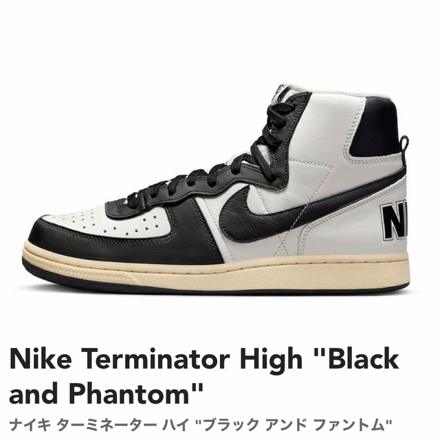 Nike Terminator High "Black and Phantom