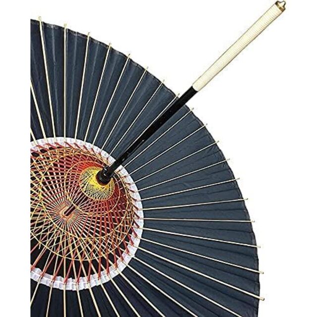 蛇の目傘 雨傘 はんなり 防水加工 和傘 ビニルコーティング加工 二段式2段階