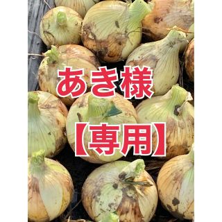 【農家直送】『秀品』淡路島新玉葱🧅 定植後農薬無使用 🧅10キロ🧅オマケあり✨(野菜)