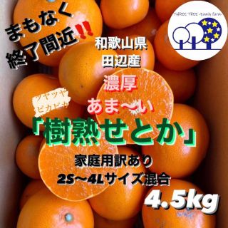 ④和歌山県田辺産 せとか オレンジ みかん 蜜柑 柑橘 訳あり4.5kg(フルーツ)