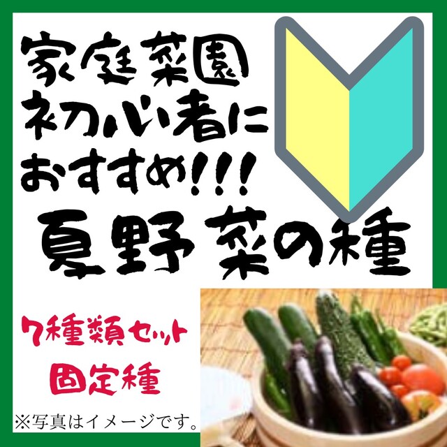 夏　野菜の種　種子　家庭菜園　初心者におすすめ　固定種【2023年-2】 食品/飲料/酒の食品(野菜)の商品写真