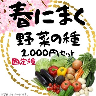 春にまく野菜の種　1,000円セット【2024年　春】(その他)