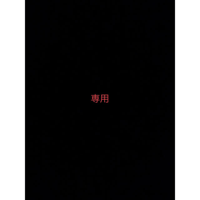 専用 その他のその他(その他)の商品写真