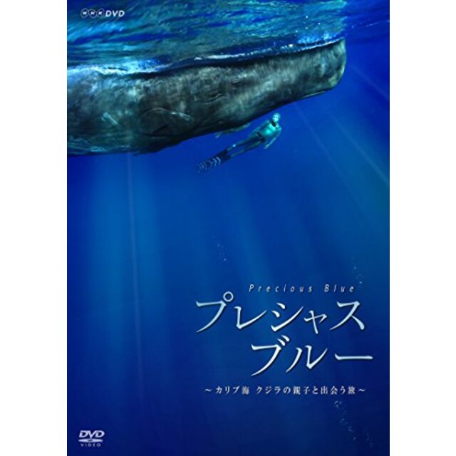 プレシャス・ブルー カリブ海・クジラの親子と出会う旅 [DVD]