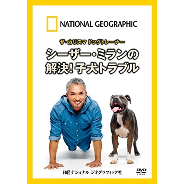 ナショナル ジオグラフィック ザ・カリスマ ドッグトレーナー シーザー・ミランの解決!子犬トラブル [DVD]