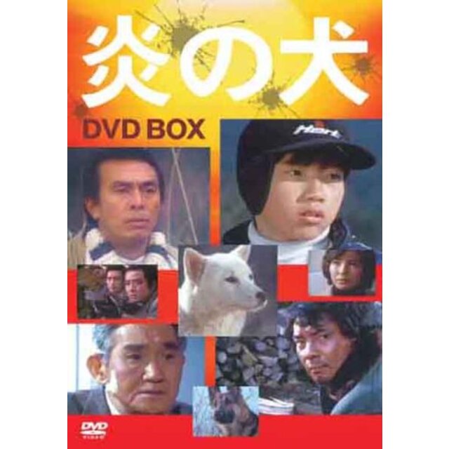 炎の犬 ＤＶＤ－ＢＯＸ(5枚組） [DVD] wgteh8f