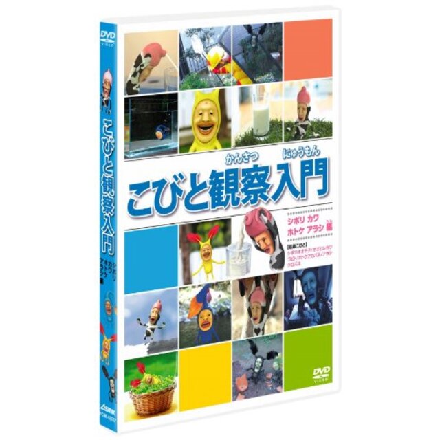 こびと観察入門　シボリ カワ ホトケ アラシ編 [DVD] g6bh9ry