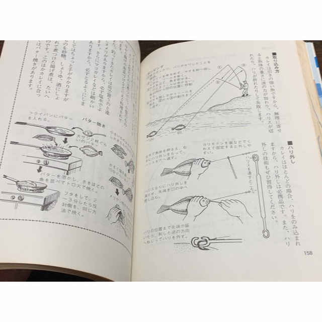よく釣れる投げ釣り入門 オール図解・仕掛けから釣り方まで/井上博司著