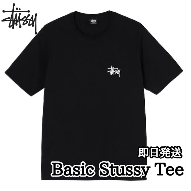 ステューシー メンズ レディース Tシャツ 半袖 ベーシック 黒 XL - T ...