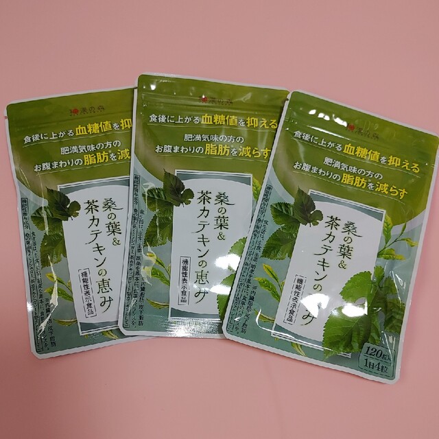 血糖値和漢の森　桑の葉&茶カテキンの恵み120粒×3