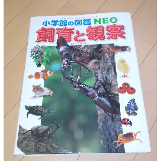 小学館の図鑑NEO(15巻セット