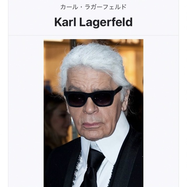 Karl Lagerfeld(カールラガーフェルド)の正規品★KARL LAGERFELD 日本未入荷大人気のレディースクラッチバッグ レディースのバッグ(クラッチバッグ)の商品写真