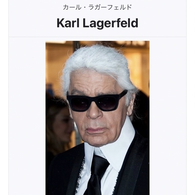 Karl Lagerfeld - 正規品☆KARL LAGERFELD 日本未入荷大人気のカード 