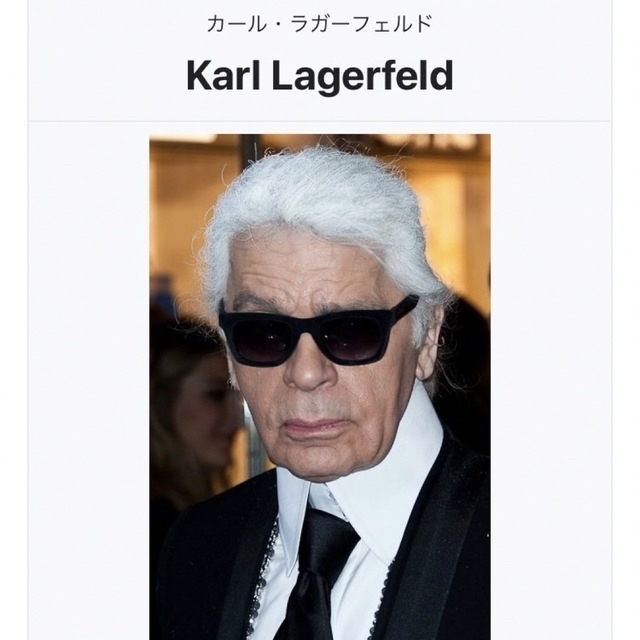 Karl Lagerfeld(カールラガーフェルド)の正規品★KARL LAGERFELD 日本未入荷大人気のカードホールダミニ財布 レディースのファッション小物(財布)の商品写真