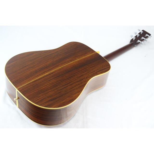 MARTIN HD-28-silversky-lifesciences.com