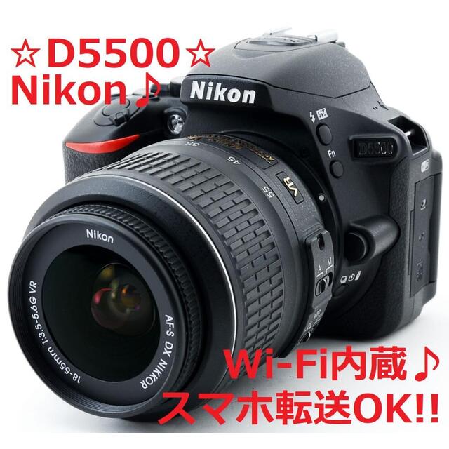 Nikon - 美品♪Wi-Fi搭載♪ショット2131回!! Nikon D5500 #5228