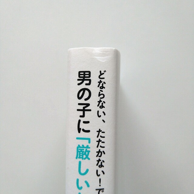 男の子に「厳しいしつけ」は必要ありません！ どならない、たたかない！で才能はぐん エンタメ/ホビーの雑誌(結婚/出産/子育て)の商品写真