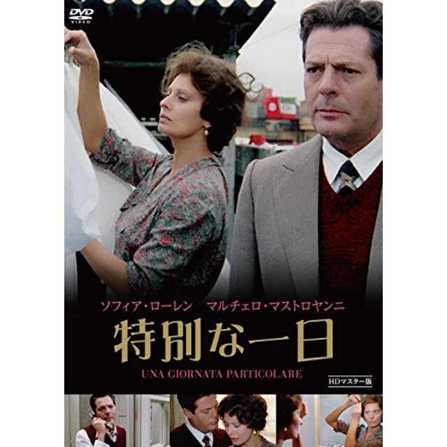 特別な一日 HDマスター版 [DVD] w17b8b5