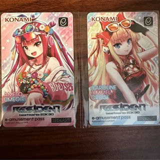 コナミ(KONAMI)の e-amusement passカード　天土、姫留2枚セット(その他)