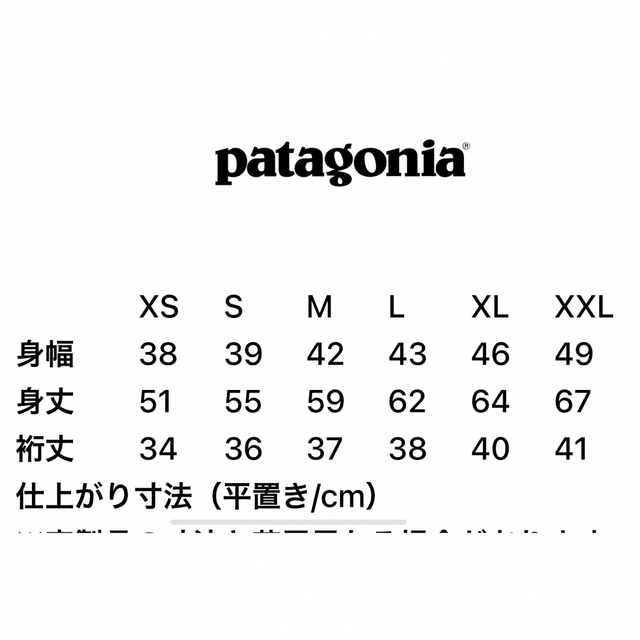 patagonia(パタゴニア)のPatagonia ＊オーガニックコットングラフィックTシャツ＊ キッズ/ベビー/マタニティのキッズ服男の子用(90cm~)(Tシャツ/カットソー)の商品写真