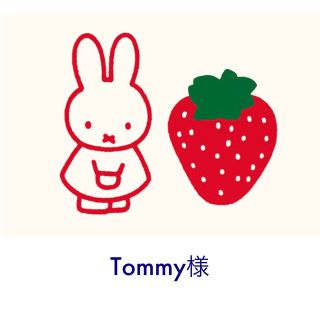 ミッフィー(miffy)のTommy様(ポーチ)