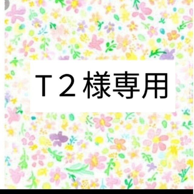 T2様専用 エリナ プロポリス6個 贈る結婚祝い 12096円 noxcapital.de