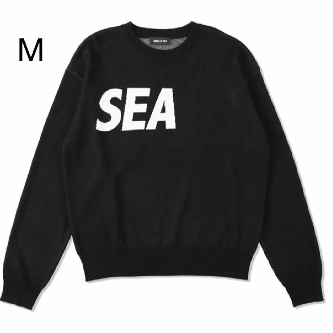 ウィンダンシーSEA SILK_BLEND KNIT / BLACK × 1 M