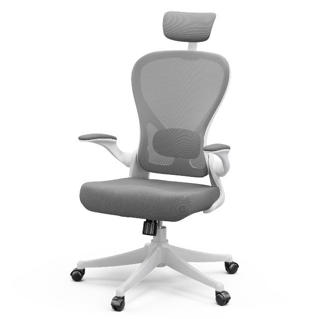 【色: グレー】Frylr フィスチェア デスクチェア 人間工学 椅子 360度
