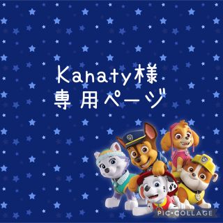 Kanaty様☆パウパトロールオーダーページ(ランチボックス巾着)