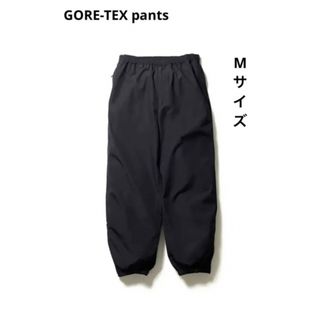 ダイワ(DAIWA)のTECH WINDBREAKER PANTS GORE-TEX INFINIUM(ワークパンツ/カーゴパンツ)