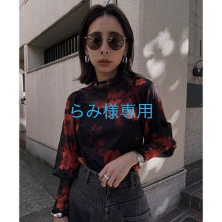 アメリヴィンテージ(Ameri VINTAGE)のAmeri VINTAGE LIDIA SHEER TOP (カットソー(長袖/七分))