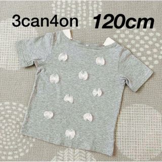 サンカンシオン(3can4on)の3can4on 半袖カットソー 120cm(Tシャツ/カットソー)