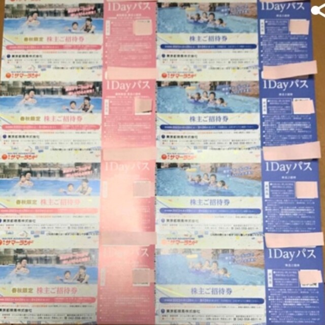東京サマーランド 1Dayパス(8枚)-