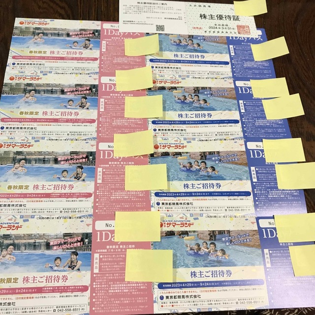 東京都競馬 株主優待 1式 大井競馬場 東京サマーランド www