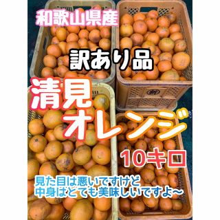 【訳あり品】清見オレンジ【和歌山県産】10キロ送料無料(フルーツ)