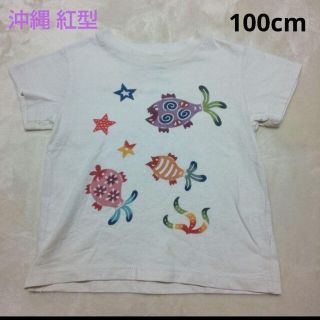 キッズ 半袖Tシャツ ☆ 100cm(その他)