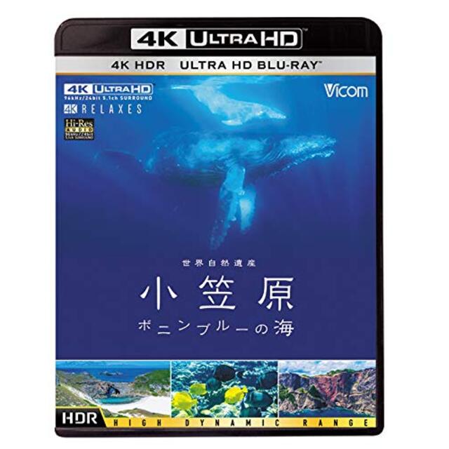 世界自然遺産 小笠原 【4K・HDR】~ボニンブルーの海~ [Ultra HD Blu-ray]