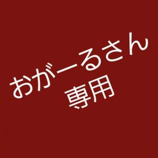 ★おがーるさん専用★  オーダーＮｏ．2(ノート/メモ帳/ふせん)