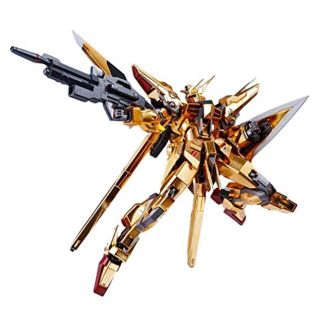 1/100 アカツキガンダム(完成品)