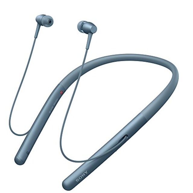 ソニー ワイヤレスイヤホン h.ear in 2 Wireless WI-H700 : Bluetooth/ハイレゾ対応 最大8時間連続再生 カナル型 マイク付き 2017年モデル 360 R