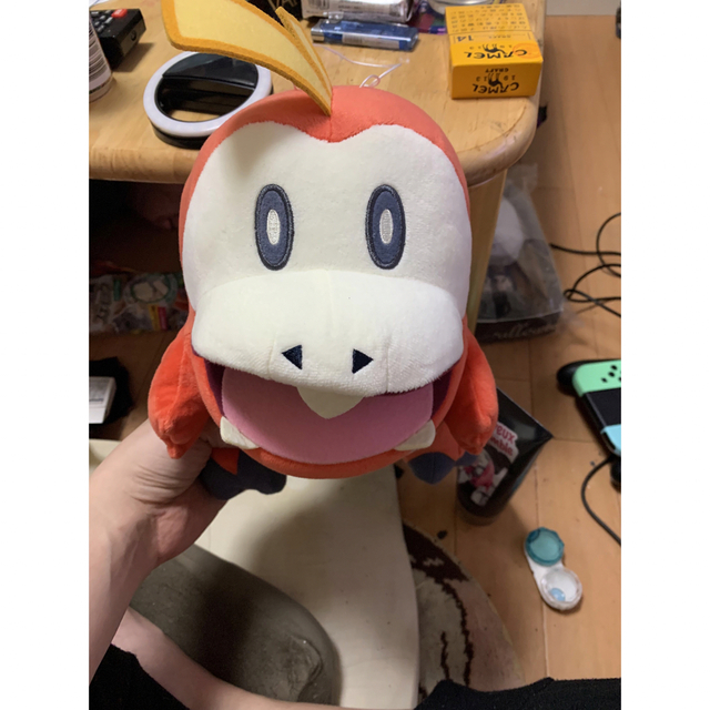 ポケモン - ポケモン ホゲータ ぬいぐるみの通販 by ひでと's shop