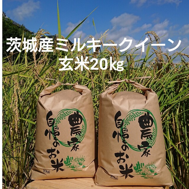 茨城令和4年産ミルキークイーン玄米20kg米/穀物