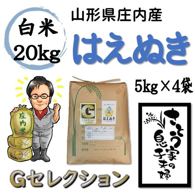 令和4年　山形県庄内産　はえぬき　白米20kg　Ｇセレクション令和4年産等級