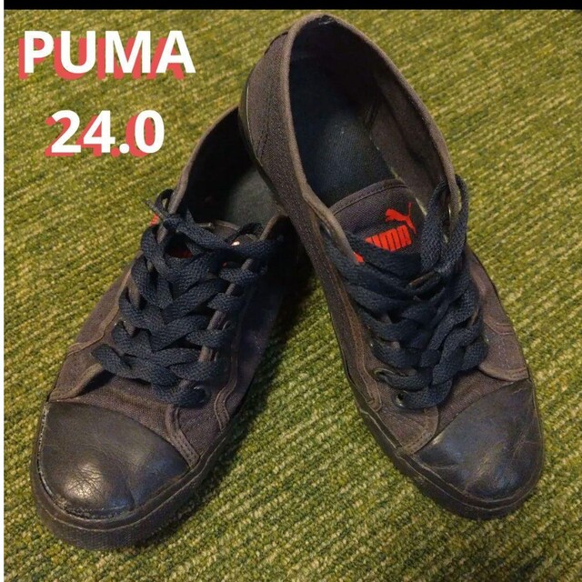 PUMA(プーマ)のPUMA　24センチ　ネイビー×レッド　処分品 レディースの靴/シューズ(スニーカー)の商品写真