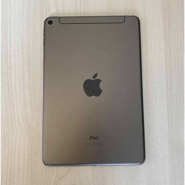 iPad mini 5 WiｰFi+cellular 256GB スペースグレイ