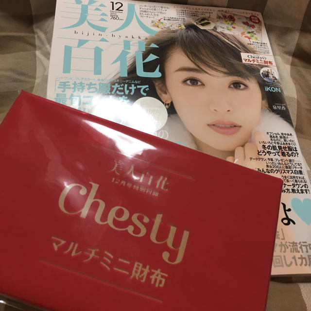 Chesty(チェスティ)の【美人百花12月号付録】chestyマルチミニ財布 レディースのファッション小物(コインケース)の商品写真