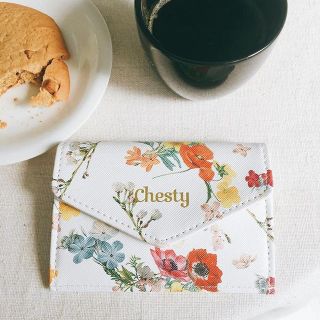 チェスティ(Chesty)の【美人百花12月号付録】chestyマルチミニ財布(コインケース)